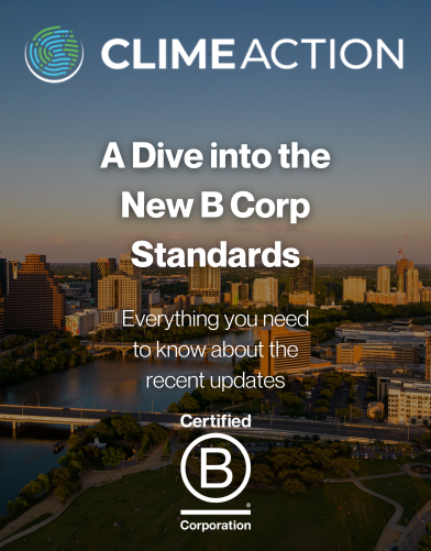 A Dive into the New B Corp Standards