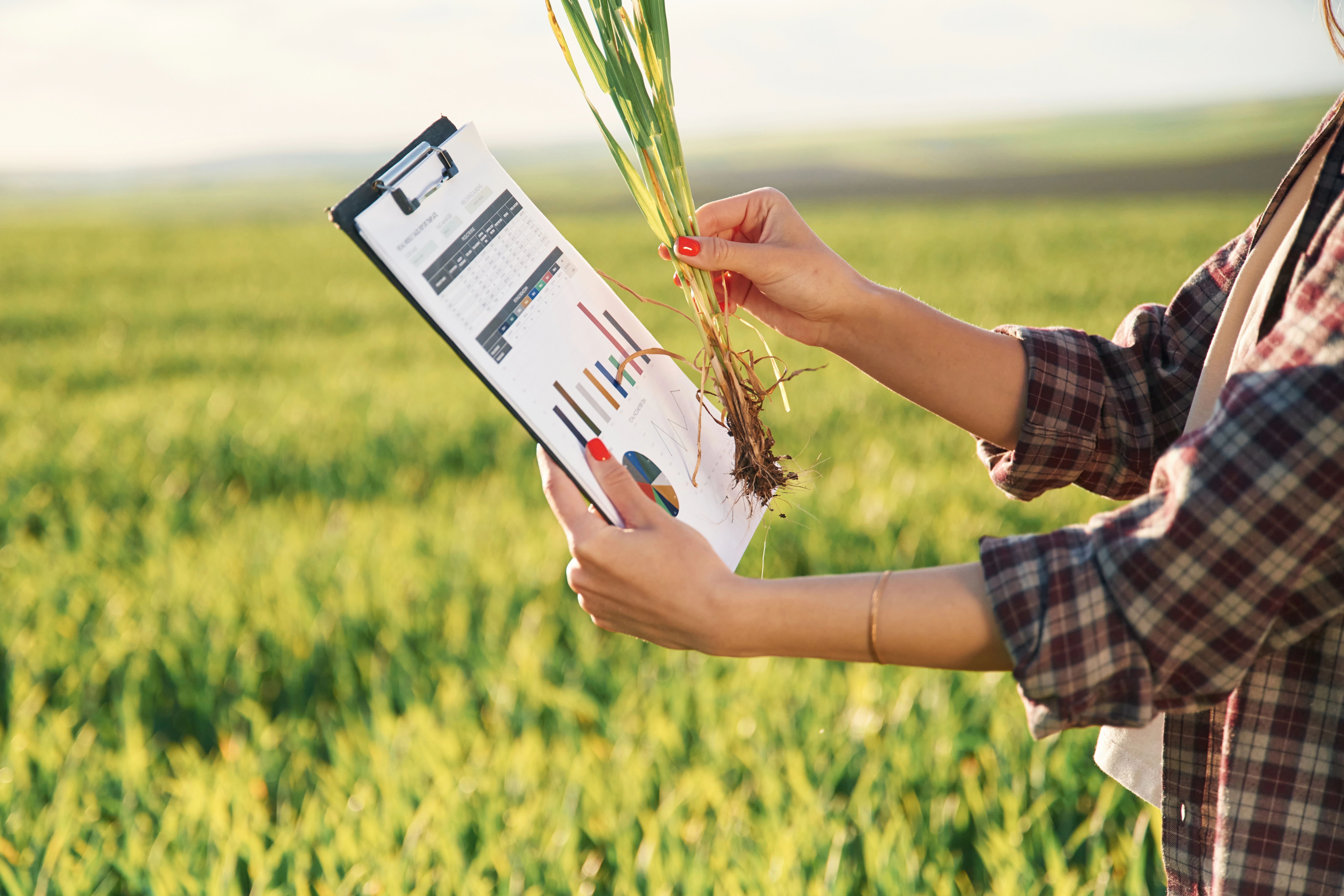 Why Farm Data Is Becoming a Corporate Performance Asset